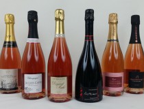Dégustation champagne rosé_Reflet des bulles (2)