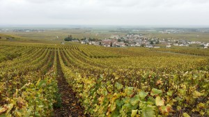 Village d'Oger (Marne)